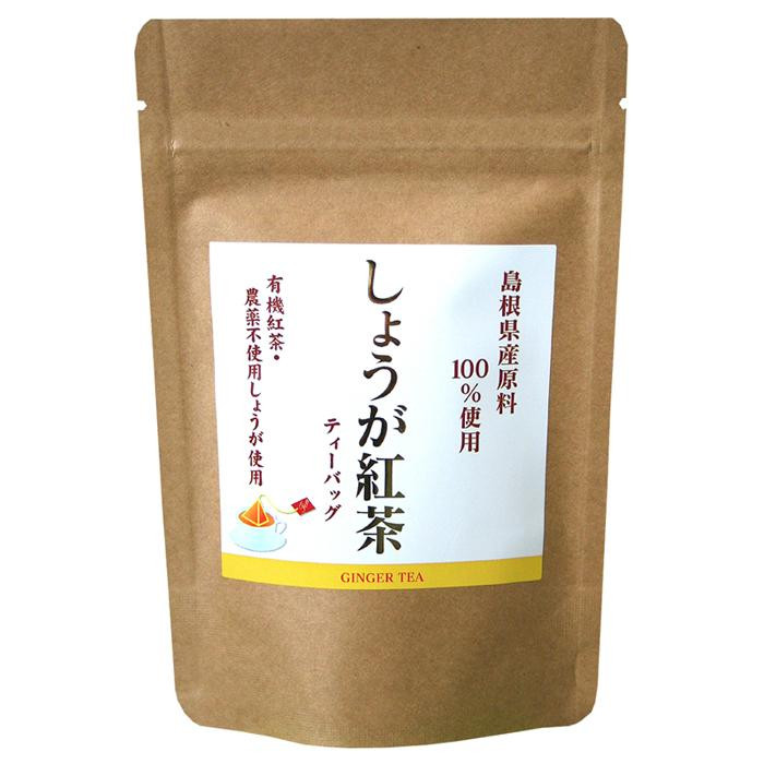 島根県産 しょうが紅茶 ティーバッグ 2g×12個入 ×10セット